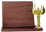 Custom Laser-Engraved Awards – Celebrate Every Victory & Accomplishment in Style
